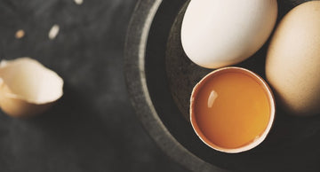 Proteínas del huevo: ¡todo lo que necesitas saber!